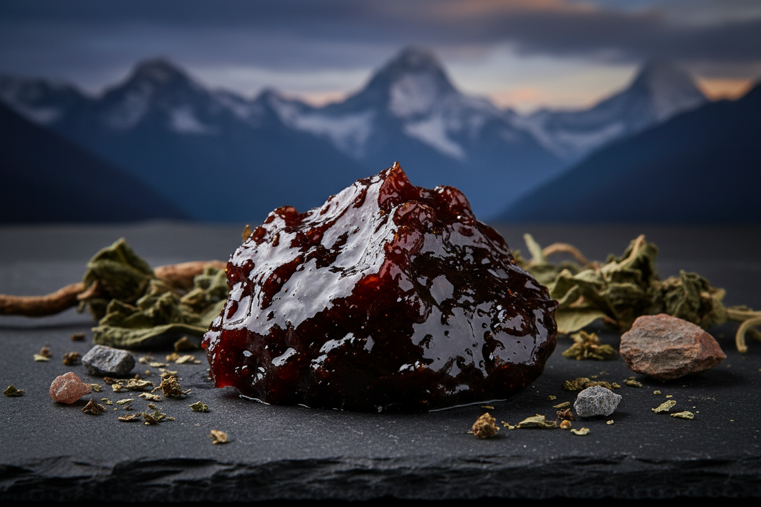 Le Shilajit : zoom sur ce trésor de l'Himalaya encore trop méconnu