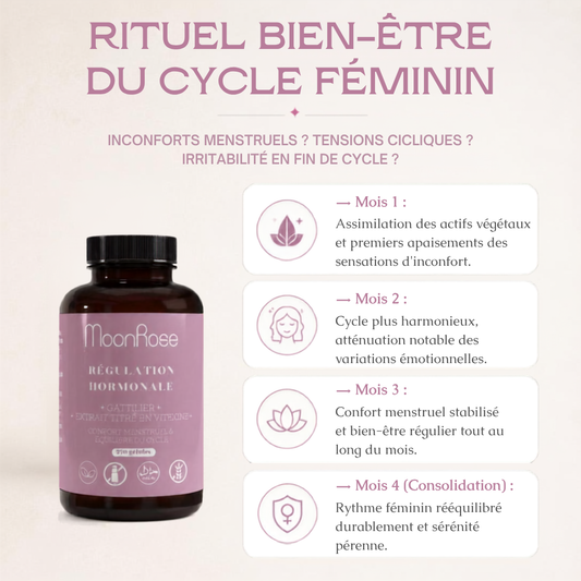 Régulation Hormonale  Gattilier - 240 capsules - Cure 4 mois