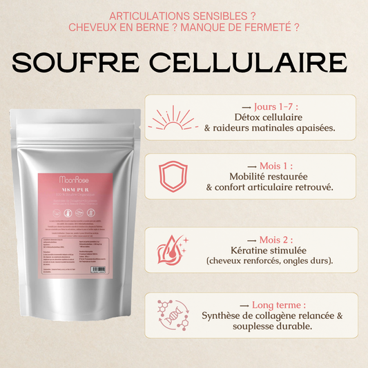 MSM Pur — 500g - cure de 4 mois