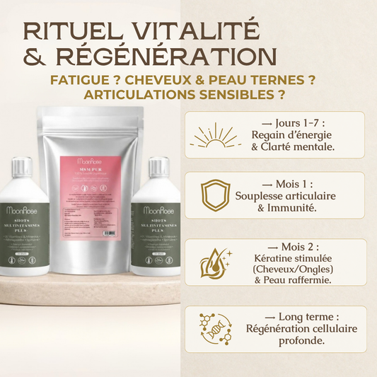Pack Protocole Intensif 2 Mois — MSM Pur (500 g) + 2x Shots Multivitamines Plus+ (2 × 500 ml)