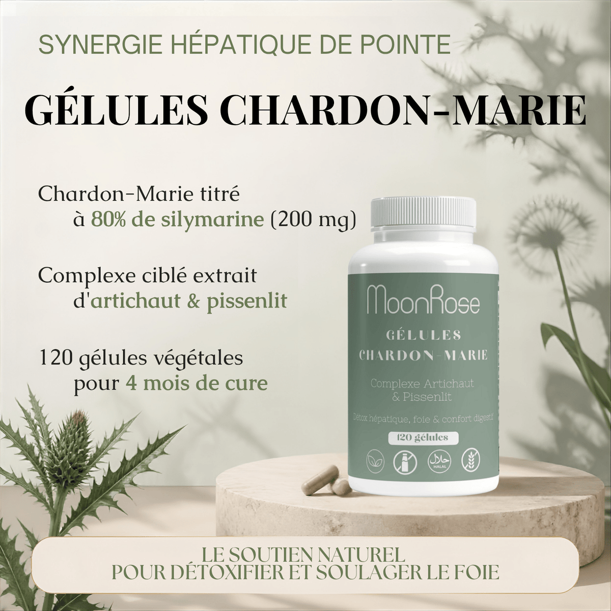 Gélules Chardon-Marie Complexe Artichaut & Pissenlit MoonRose (120 gélules) — Détox Hépatique, Soutien Foie & Confort Digestif | Titré à 80 % de Silymarine | Cure 4 Mois - MoonRose