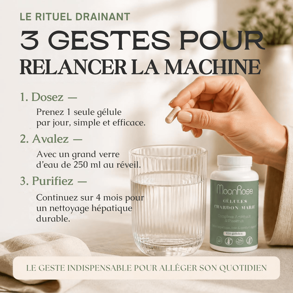 Gélules Chardon-Marie Complexe Artichaut & Pissenlit MoonRose (120 gélules) — Détox Hépatique, Soutien Foie & Confort Digestif | Titré à 80 % de Silymarine | Cure 4 Mois - MoonRose