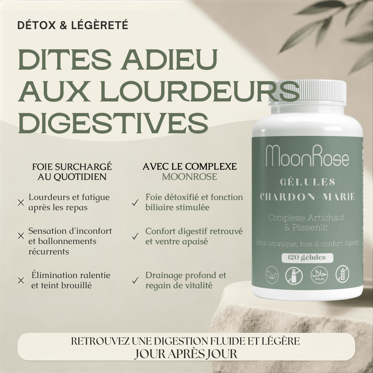 Gélules Chardon-Marie Complexe Artichaut & Pissenlit MoonRose (120 gélules) — Détox Hépatique, Soutien Foie & Confort Digestif | Titré à 80 % de Silymarine | Cure 4 Mois - MoonRose