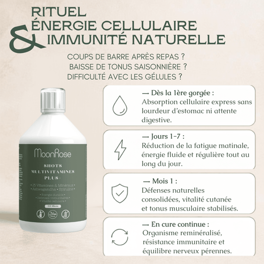 SHOTS MULTIVITAMINES PLUS+ — LIQUIDE HAUTE ABSORPTION (500 ML - 33 DOSES) - MoonRose
